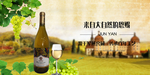 军燕窖藏酒