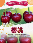 樱桃