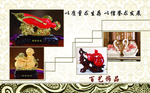 招财金龙