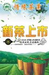 新茶上市
