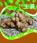 生姜