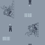 骑士