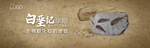 化石收藏