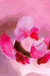 新中式抽象桃花山水画