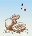 杏仁