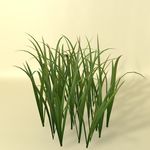花草模型 植物模型 花卉模型