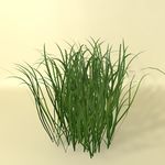 花草模型 植物模型 花卉模型