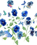 手绘花