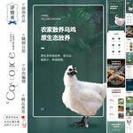 农家乌鸡详情