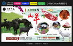 黑山羊 山羊养殖 羊肉火锅