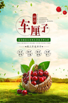 车厘子大樱桃