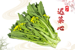 增城迟菜心