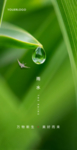 雨水