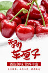车厘子海报