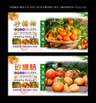 砂糖桔