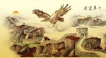老鹰大展宏图