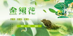 金银花茶