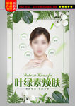 叶绿素焕肤