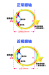 近视原理