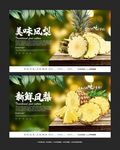 凤梨