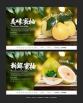 蜜柚