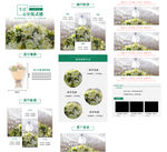 植物详情页