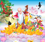 老寿星