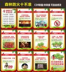 森林防火十不准