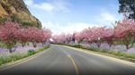 桃花道路景观设计效果图