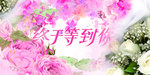 终于等到你
