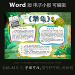 word版读书小报绘本犟龟阅读