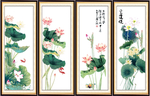 荷花国画