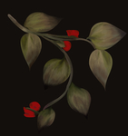 数码印花 女装印花