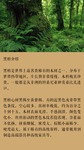黑檀红木家具产品介绍简介详情