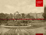 深圳大学