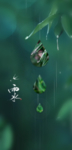 雨水