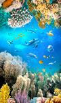 海底世界海豚海草3D立体地板