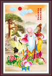 老寿星