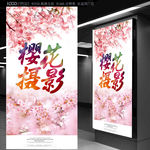 樱花摄影
