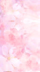 三八女神节樱花桃花粉色背景