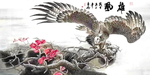 鹰