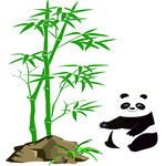 竹子 石头 熊猫素材