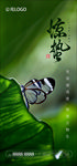 惊蛰创意节气昆虫海报