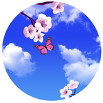 桃花蓝天白云