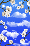 蓝天桃花