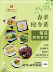 时令菜