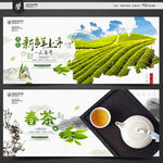 春茶