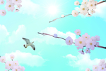 桃花蓝天