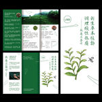 茶叶折页