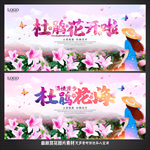 杜鹃花